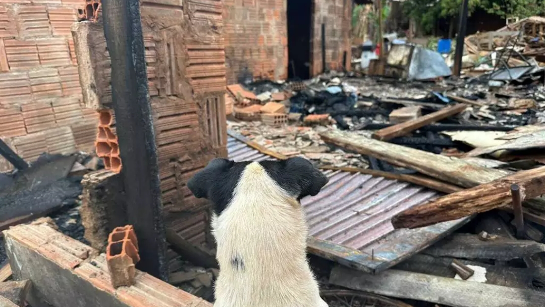 &ldquo;Sobrou s&oacute; o cachorro&rdquo;: inc&ecirc;ndio criminoso destr&oacute;i resid&ecirc;ncia de casal  