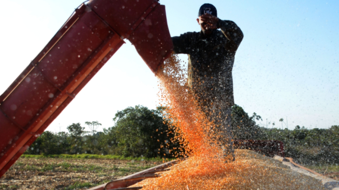 Com faturamento de R$ 3 bilh&otilde;es, Sidrol&acirc;ndia tem a 3&ordf; agricultura mais rent&aacute;vel de MS