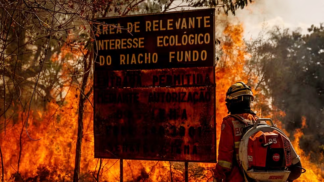 Desmatamento do Cerrado emitiu 135 milh&otilde;es de toneladas de CO2 desde 2023