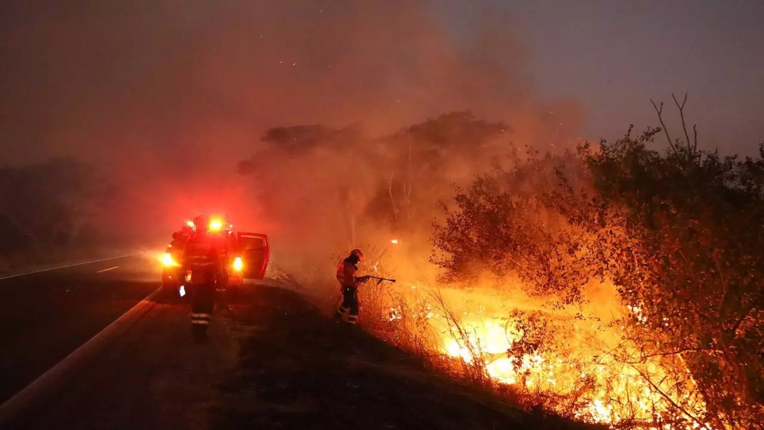 Monitoramento mostra que 99% dos inc&ecirc;ndios s&atilde;o por a&ccedil;&atilde;o humana