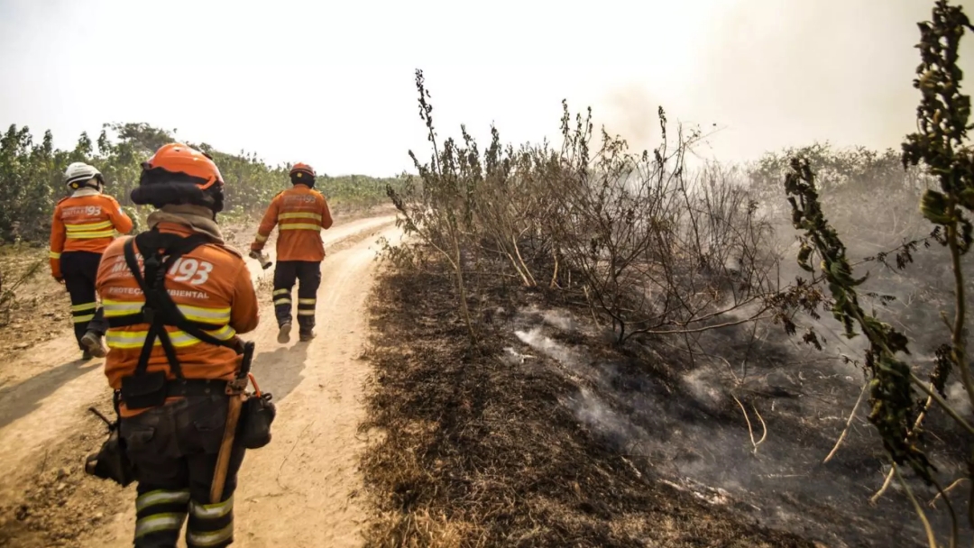 Setembro fecha com 1,9 mil focos de inc&ecirc;ndio, cinco vezes mais que em 2023