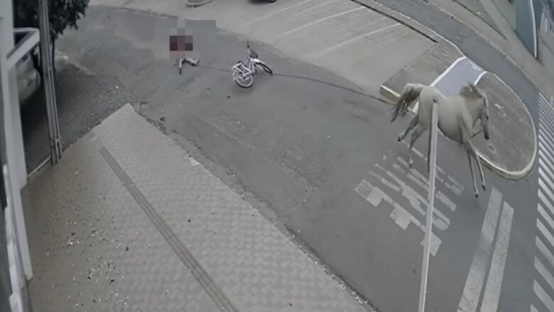 Jovem fica ferido ao ser arrastado por cavalo 
