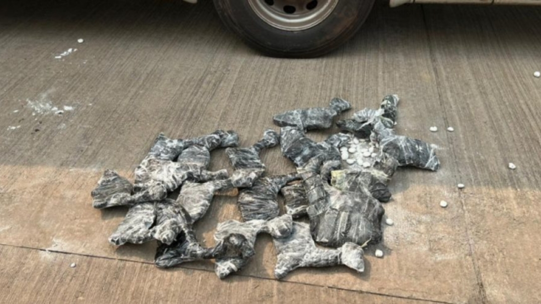 Fetos de lhamas s&atilde;o apreendidos em &ocirc;nibus clandestino em Corumb&aacute;