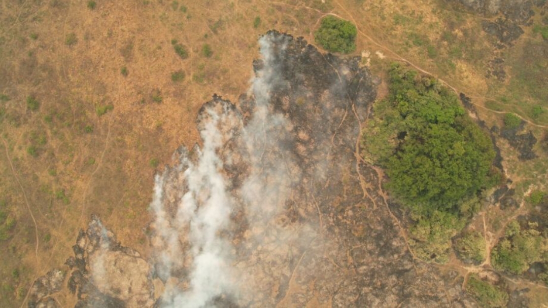 Mesmo com chuva, focos de calor continuam no Pantanal