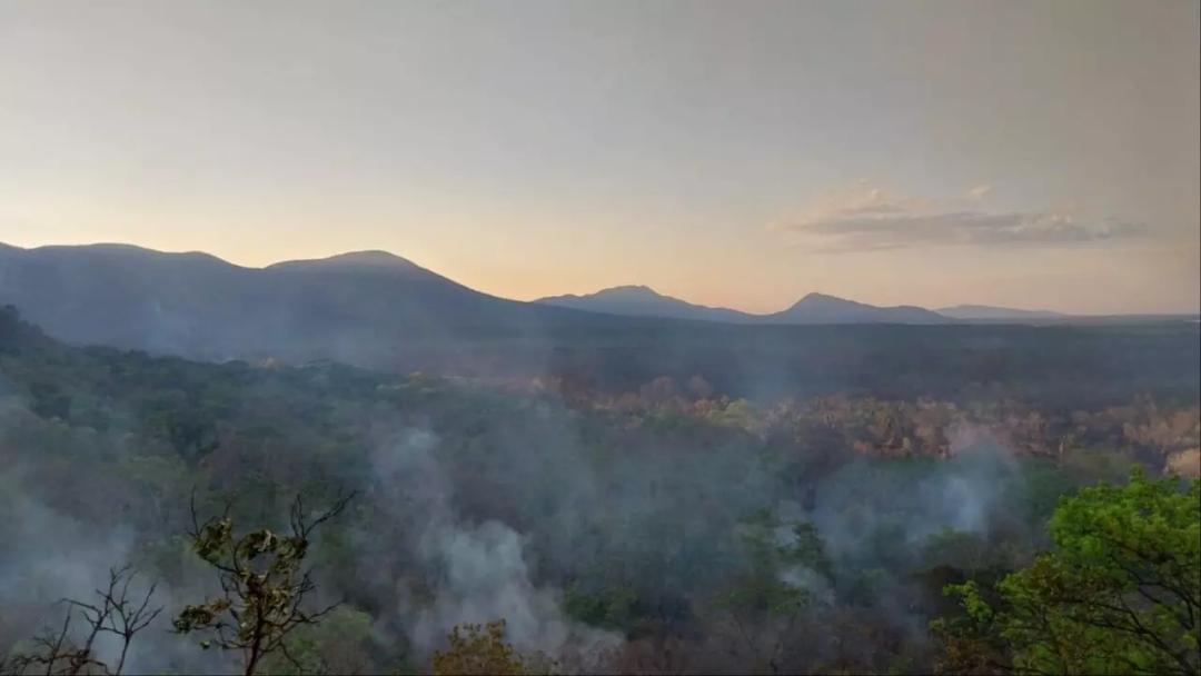 Pantanal registra 317 focos de inc&ecirc;ndio e fuma&ccedil;a cobre o Estado nesta sexta-feira