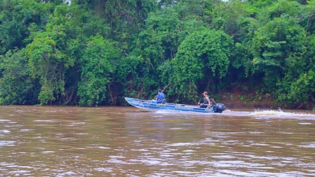 Piracema come&ccedil;a na pr&oacute;xima sexta na bacia do Rio Paran&aacute;