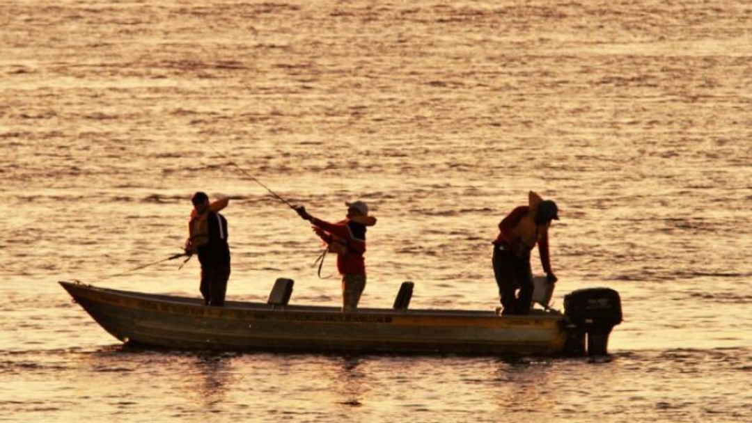 Pesca fica proibida nos rios de MS a partir do dia 5 de novembro