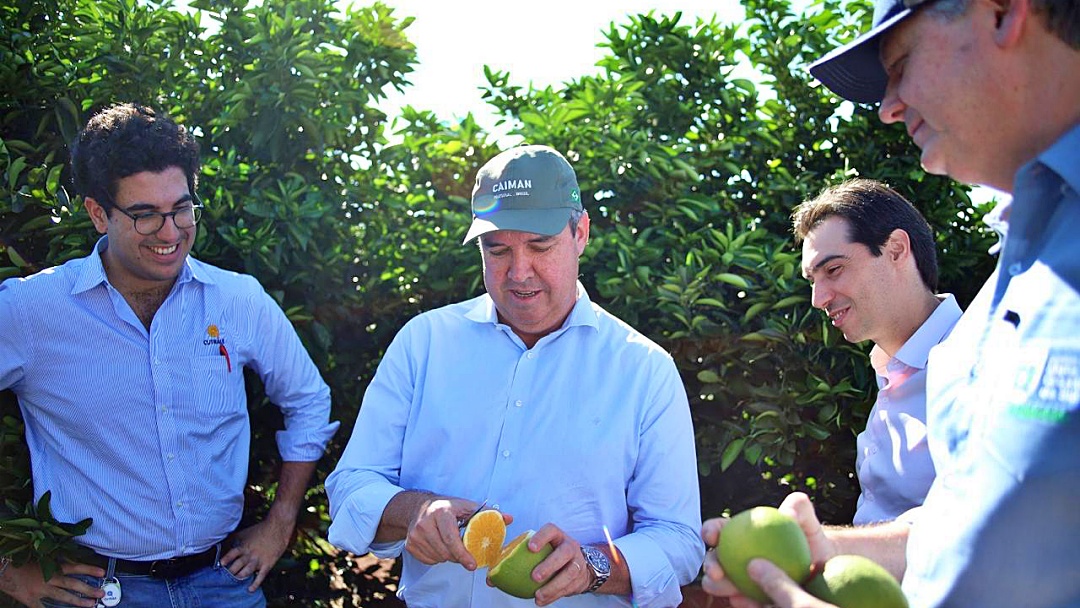Riedel acompanha plantio na Aracoara que j&aacute; tem 1.000 hectares de laranja plantados