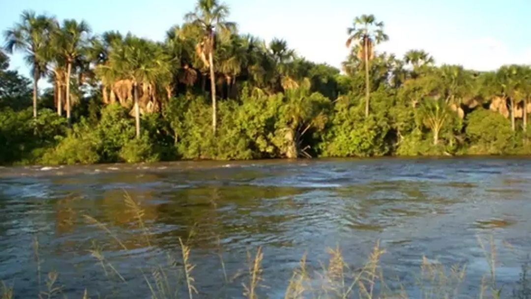 Corpo de mulher que tentou salvar sobrinho em rio &eacute; encontrado