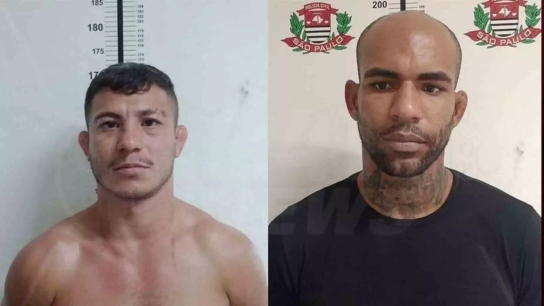 Lutadores de jiu-j&iacute;tsu s&atilde;o condenados por roubo e estupro em s&eacute;rie em MS 