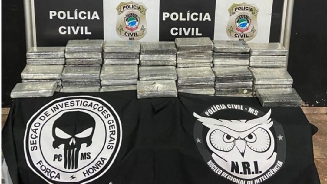 Homem &eacute; preso com mais de meia tonelada de coca&iacute;na escondidos em carga de frango