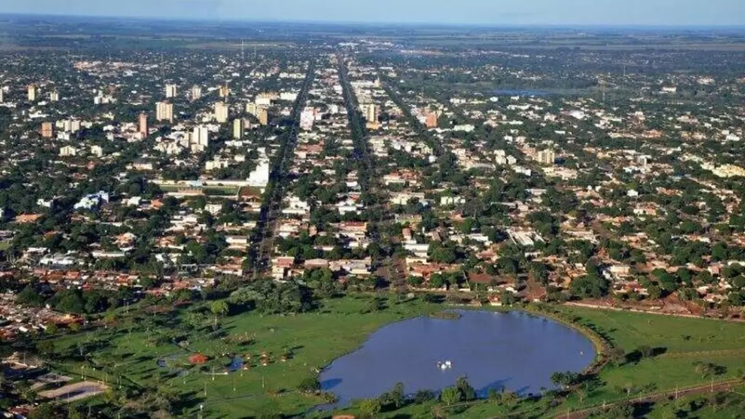 Idoso morre ap&oacute;s cair de &aacute;rvore enquanto realizava poda 