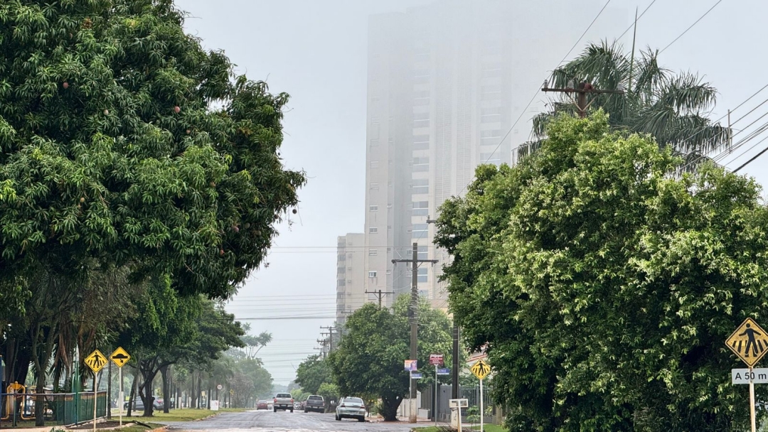 Sidrol&acirc;ndia amanhece sob forte neblina com clima de inverno