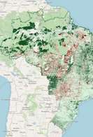 Brasil tem 95 milh&otilde;es de hectares &agrave; espera de a&ccedil;&otilde;es de restaura&ccedil;&atilde;o