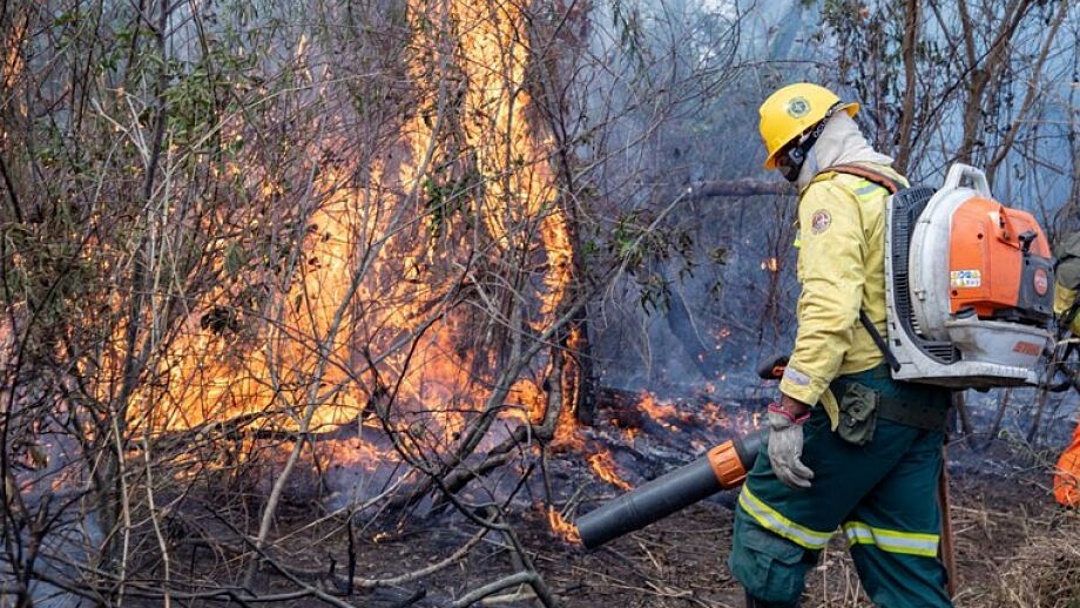 Chuvas podem ajudar, mas seca severa de 2024 vai deixar impactos no Pantanal