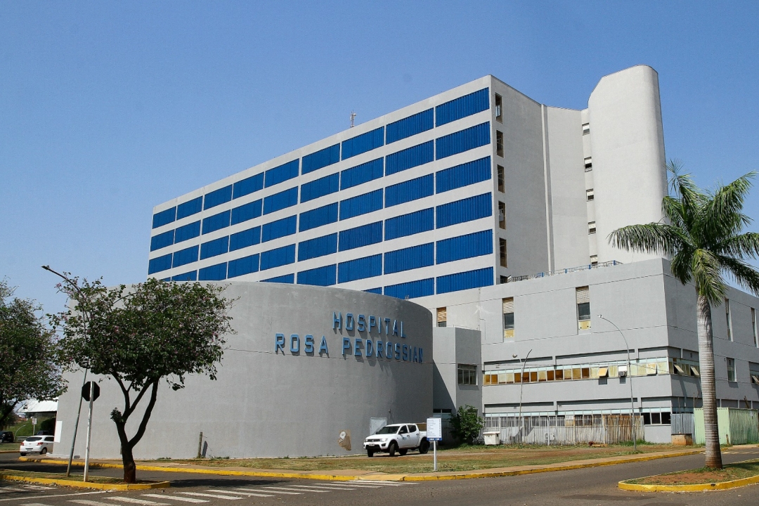 Menino residente em assentamento levou mais de 1.100 picadas após ser atacado por enxame