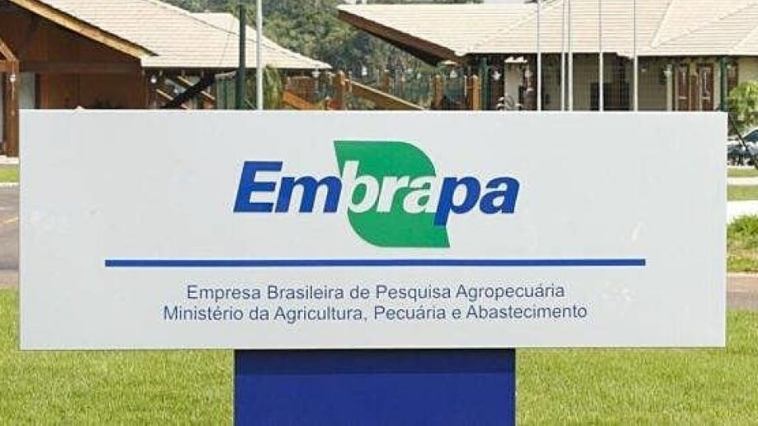 Inscri&ccedil;&otilde;es para concurso da Embrapa abrem nesta segunda; sal&aacute;rio &eacute; de at&eacute; R$ 12,8 mil