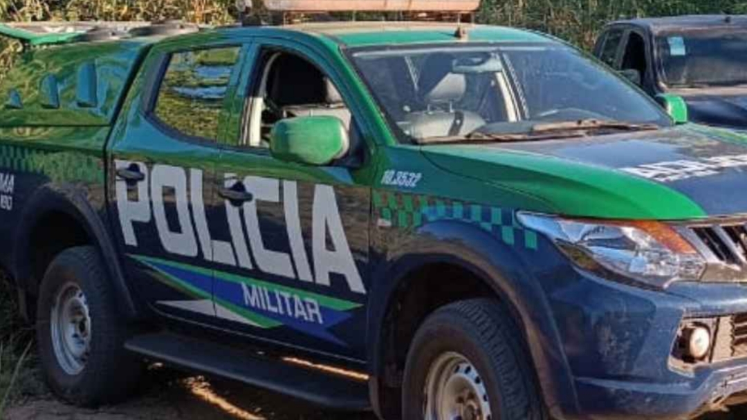 Mulher é detida e multada ao ser flagrada vendendo crânios de animais silvestres