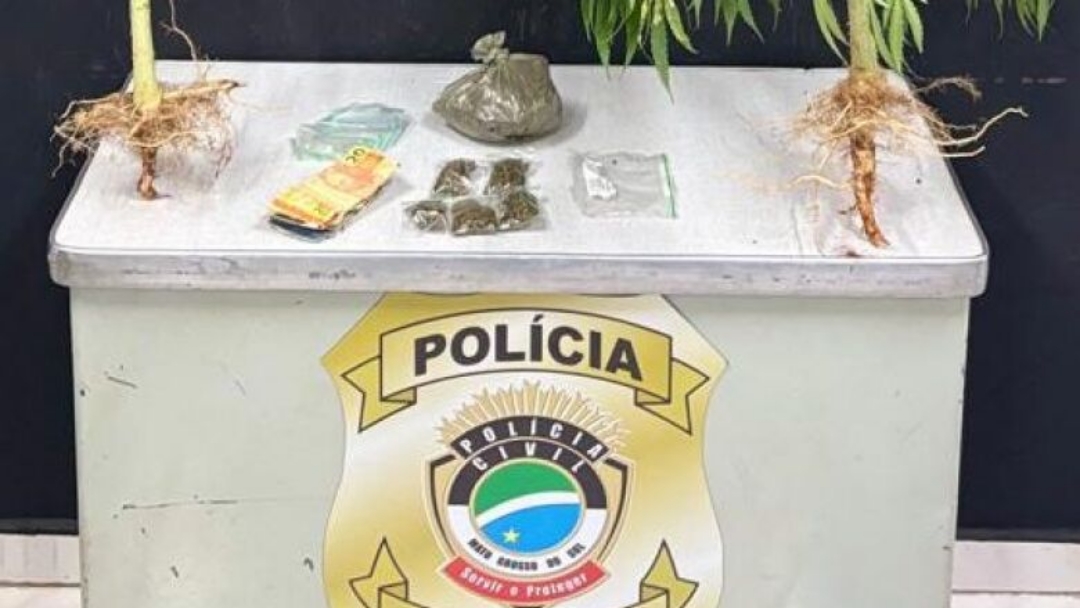 Homem é preso com drogas e plantações de maconha em casa
