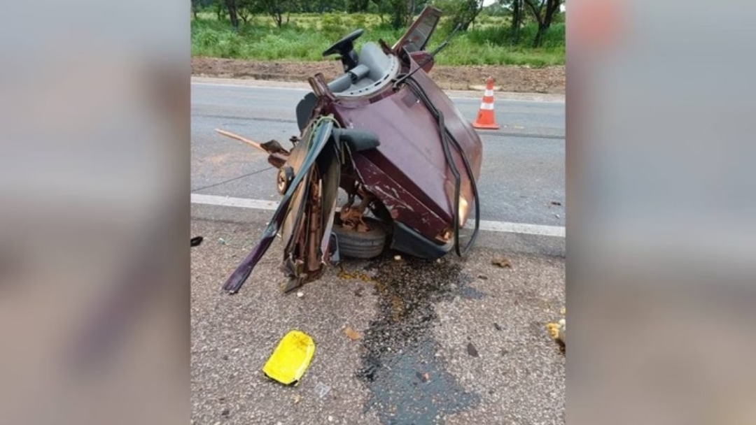 Acidente em rodovia mata 2 crianças após motorista desviar de tamanduá