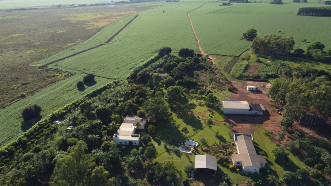Assentados trocam militância pelo plantio de soja e criticam fala de Zeca