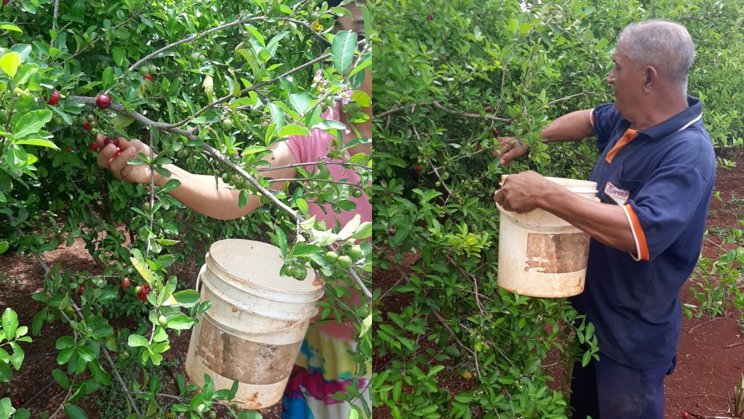 Parcerias reforçam orçamento nos assentamentos onde 52,33% tem renda per capita de R$ 706,00