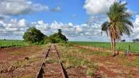 ANTT deixa reativa&ccedil;&atilde;o de ramal como &#039;op&ccedil;&atilde;o&#039; para nova concession&aacute;ria da Malha Oeste