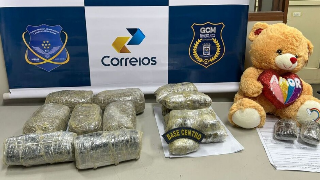 Traficantes tentam enviar drogas em ervas de tereré e ursinho em Campo Grande