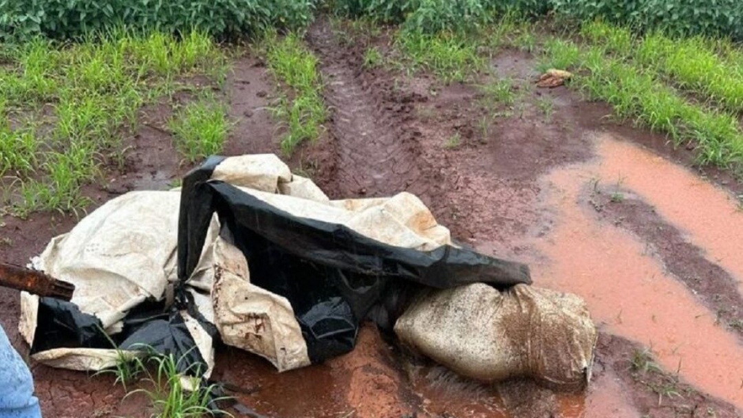 Corpo de homem &eacute; encontrado enrolado em sacos pl&aacute;sticos em Ponta Por&atilde;