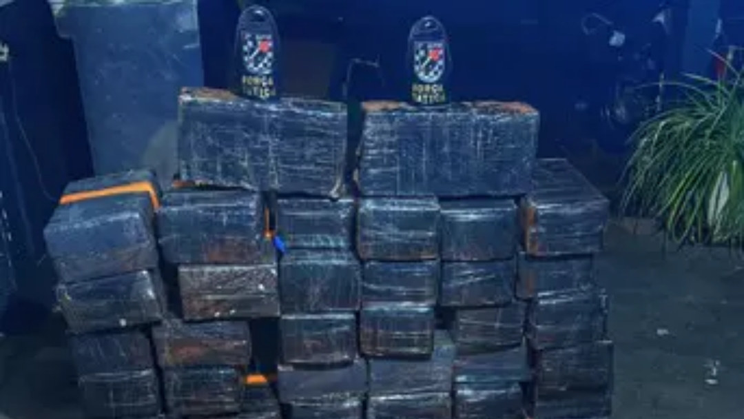 Polícia apreende mais de meia tonelada de maconha em depósito de droga no interior de MS