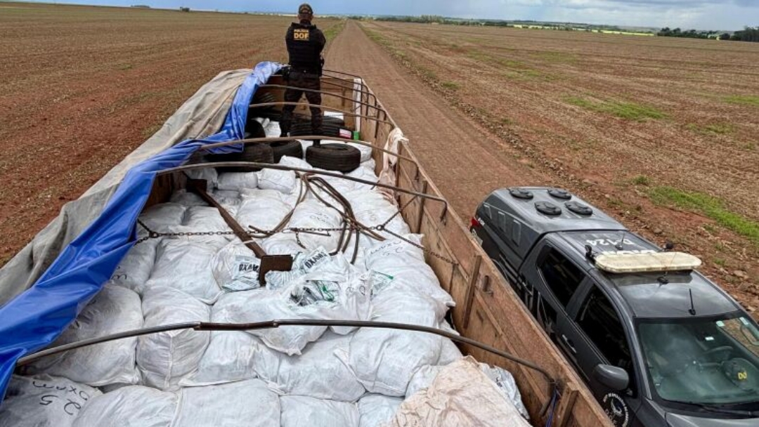 Caminhão com 8 toneladas de defensivos agrícolas contrabandeados é apreendido