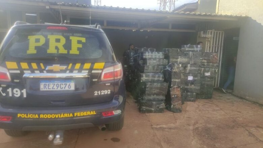 Motorista &eacute; flagrado transportando quase 4 toneladas de maconha em caminh&atilde;o