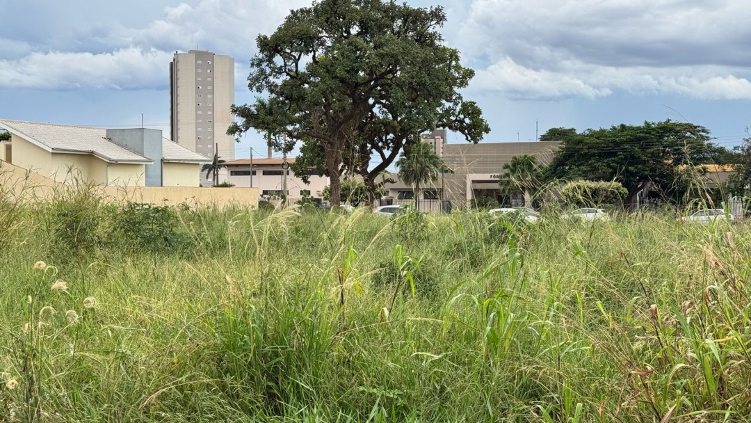 Propriet&aacute;rios descumprem legisla&ccedil;&atilde;o; terrenos viram criadouro do Aedes aegypti e animais pe&ccedil;onhentos