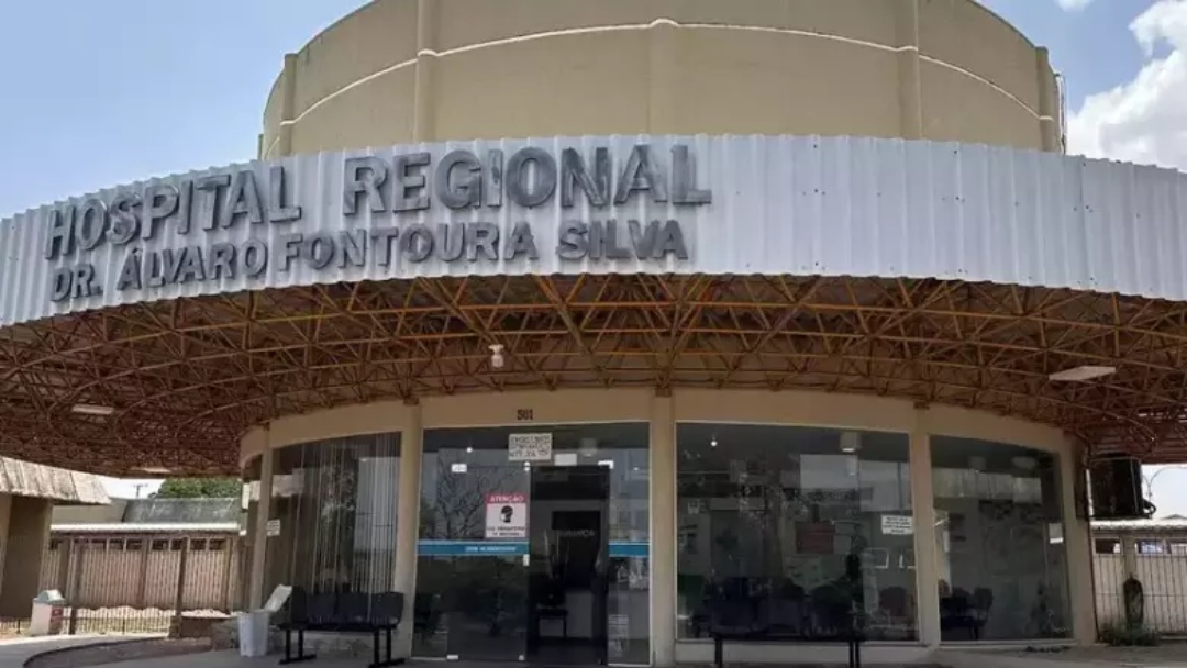 Trabalhador rural morre ap&oacute;s ser atacado por enxame de abelhas