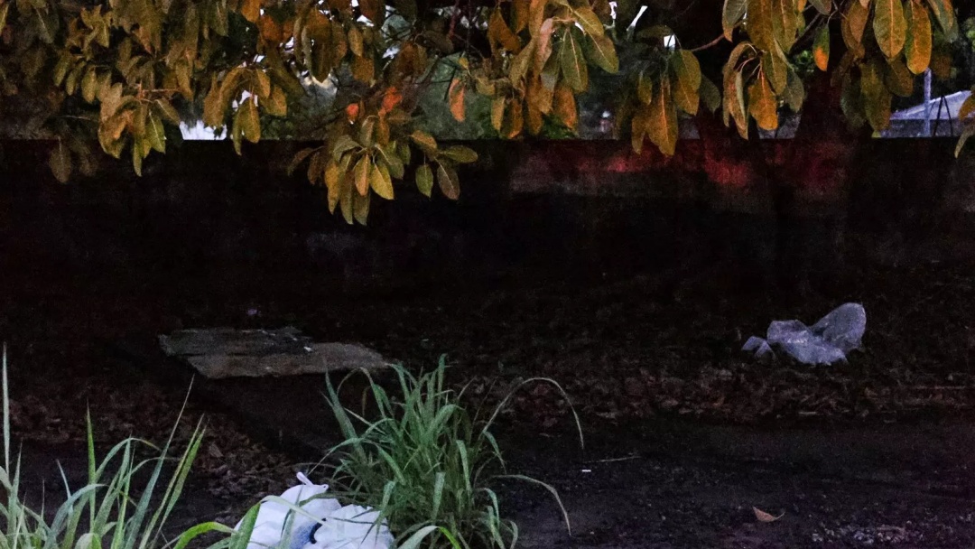 Corpo encontrado na Rotunda Ferroviária tinha ferimento nas costas, segundo polícia