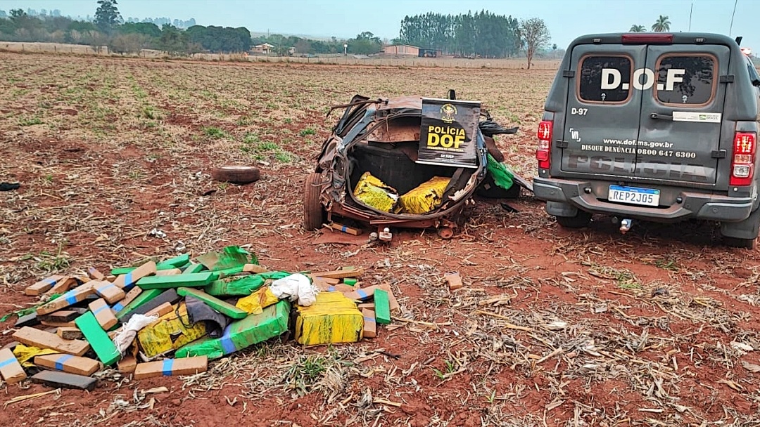 Em menos de 2 meses, Polícia já apreendeu quase 40% da droga retida ano passado na cidade