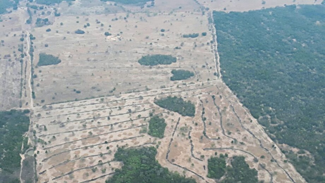 Governo quer &quot;comprar&quot; licen&ccedil;as que autorizam o desmate no Pantanal  