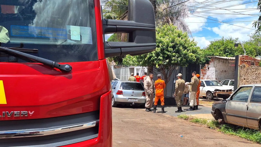 Papagaio morre e idoso tem choque anafil&aacute;tico ap&oacute;s ataque de abelhas em Campo Grande