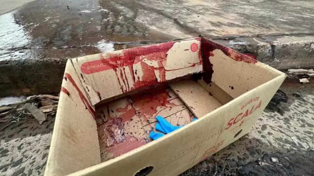 Homem morre ao ser espancado e esfaqueado no meio da calçada