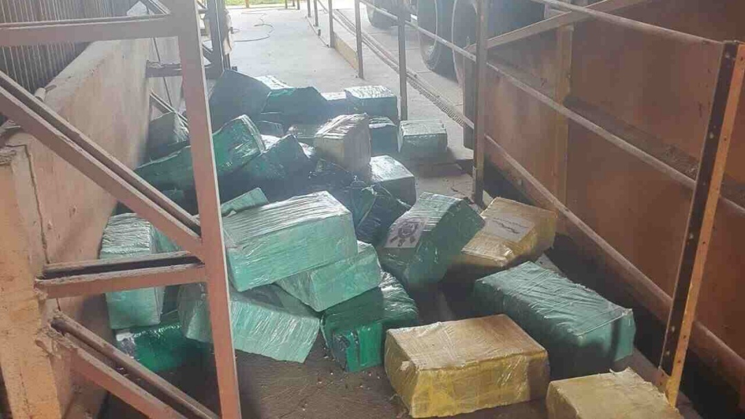 Homem é flagrado em Aral Moreira com quase 8 toneladas de maconha