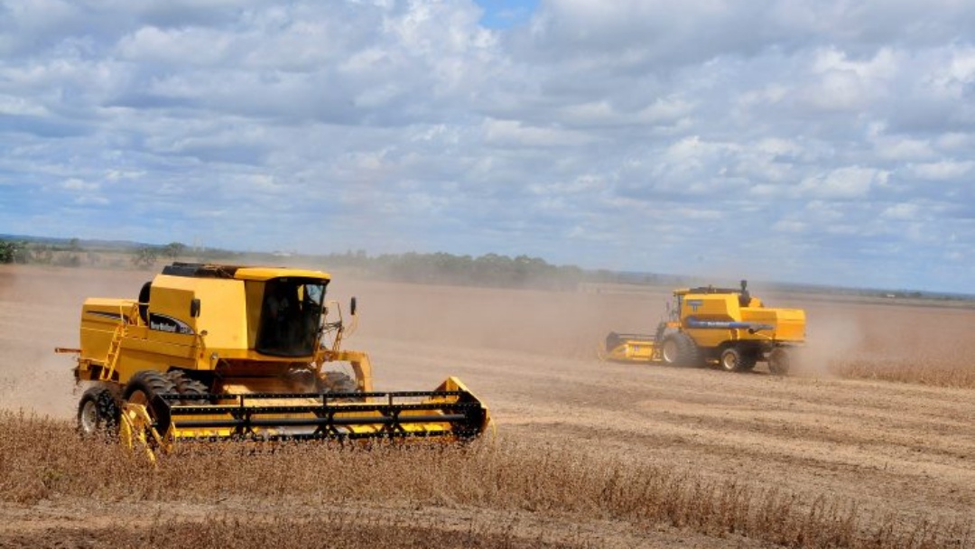 Produção agrícola de Mato Grosso do Sul deve chegar a 75,3 milhões de toneladas na safra 2024/25