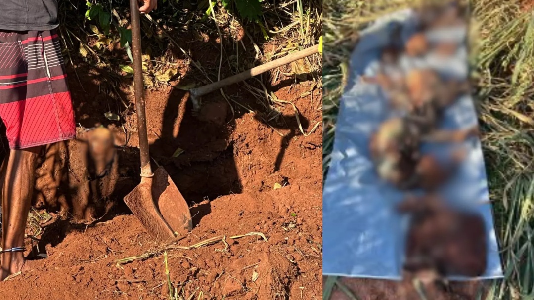 Polícia prende assassino e encontra restos mortais de mulher, 4 meses após o crime em Eldorado