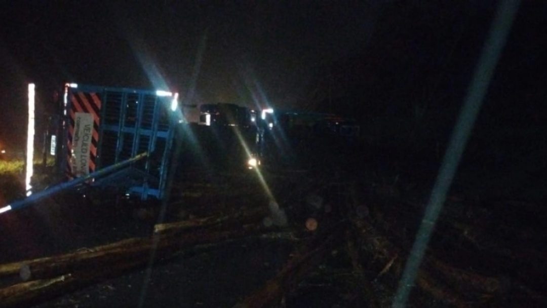 Carreta com toras de eucalipto tomba entre Nova Andradina a Batayporã e interdita via