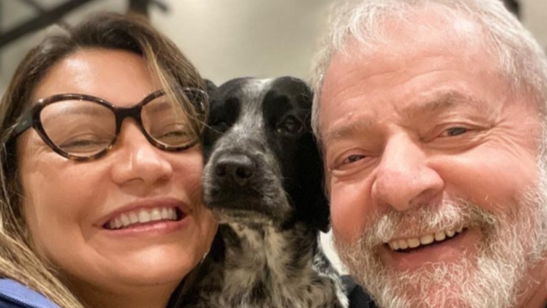 Lula lança programa de identificação e proteção de cães e gatos