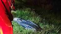 Idoso de 63 anos morre na BR-463 atropelado e motorista foge 