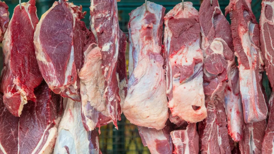 Exportações recordes impulsionam alta de 21% no preço da carne bovina