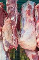 Exporta&ccedil;&otilde;es recordes impulsionam alta de 21% no pre&ccedil;o da carne bovina