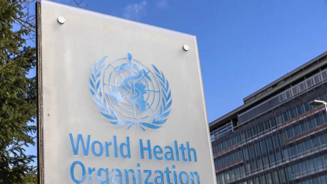OMS alerta para surto de antraz na República Democrática do Congo