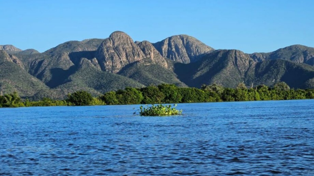 Governo federal regulariza área de 10 mil m² no Pantanal para ribeirinho
