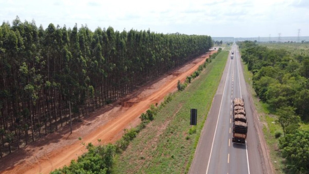 Rota da Celulose vai transformar logística e segurança nas estradas de Mato Grosso do Sul
